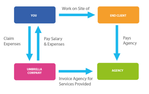 how-umbrella-companies-work