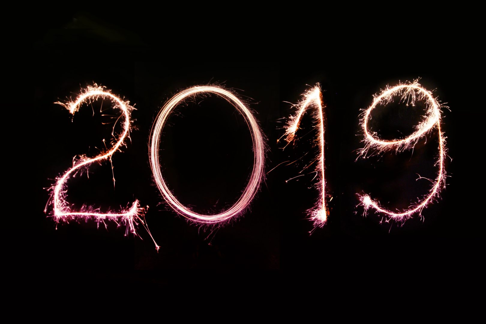 Trending businesses for 2019