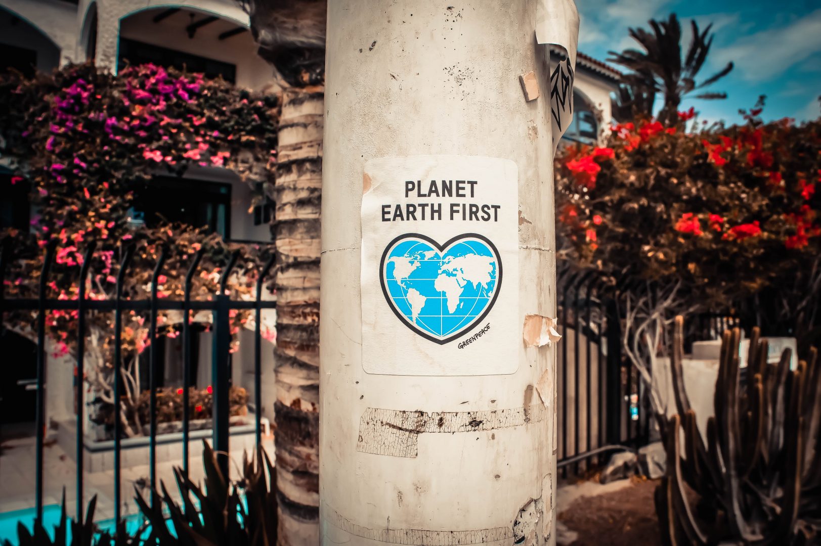 How to write an environmental policy for your small business