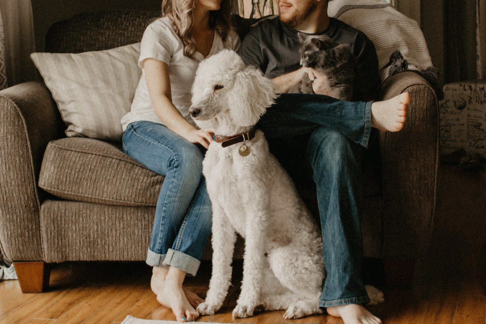 Pet business ideas