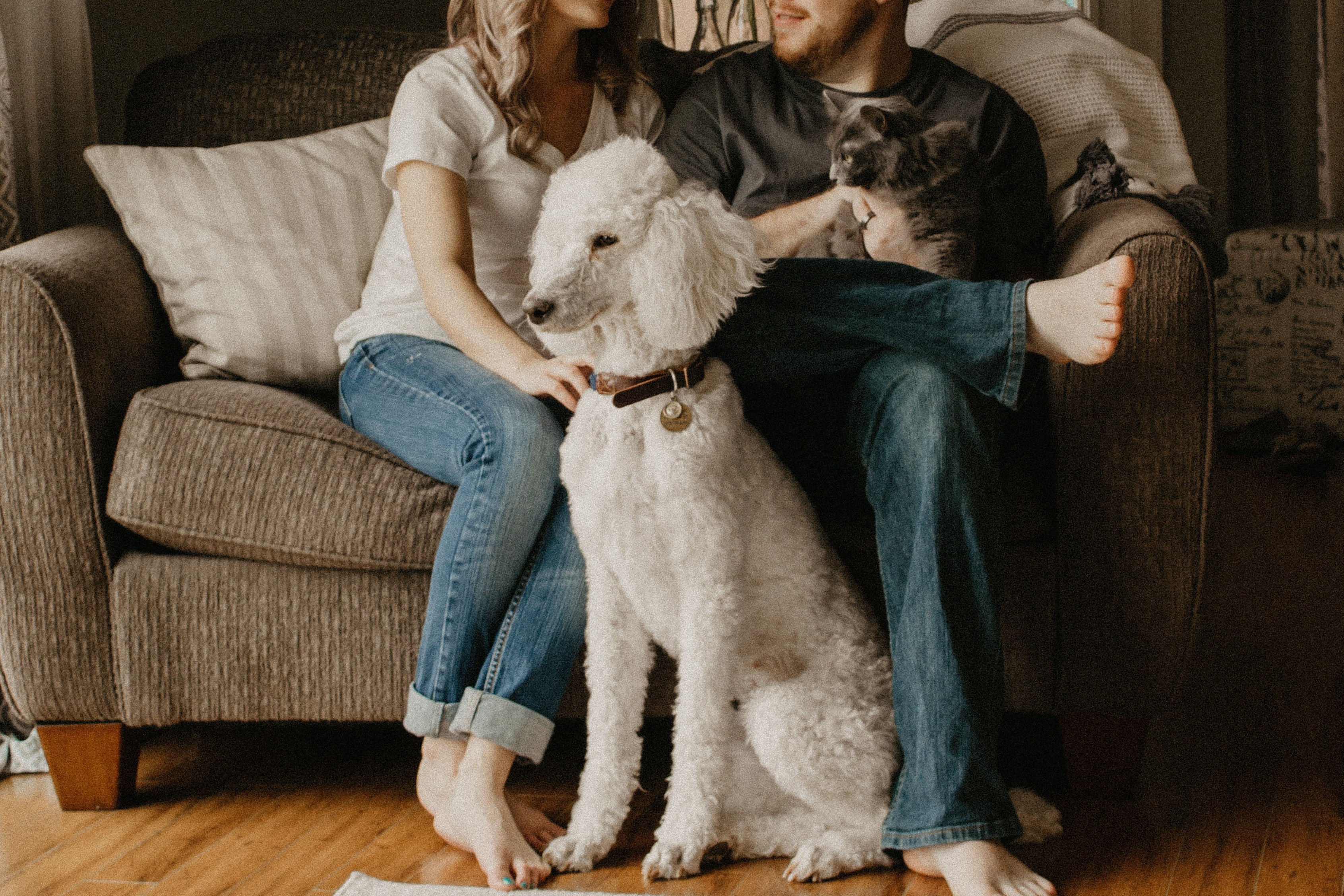 top-10-pet-business-ideas-for-animal-lovers-in-the-uk-techround