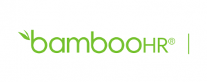 bamboo-payroll-software