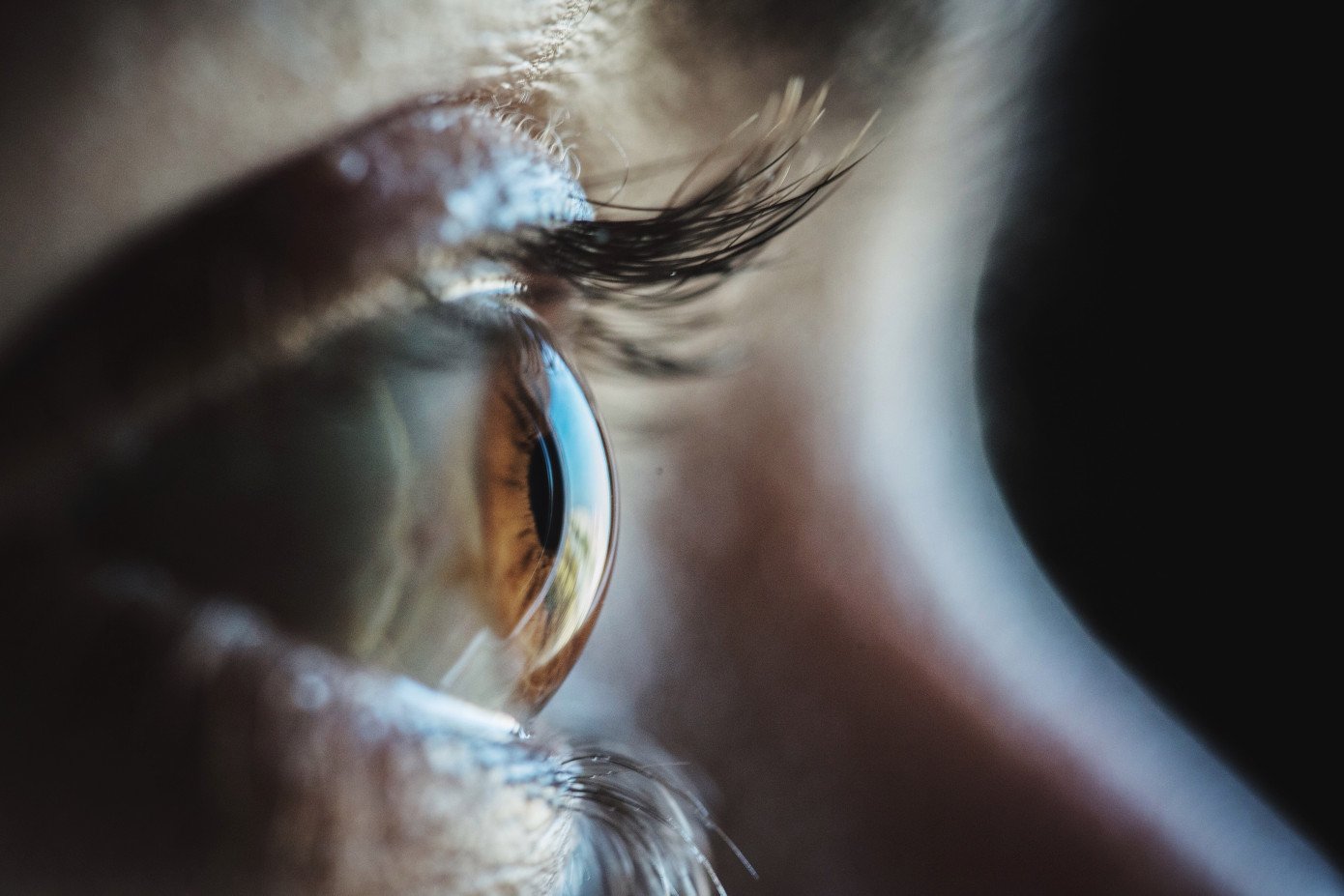 close-up-human-eye