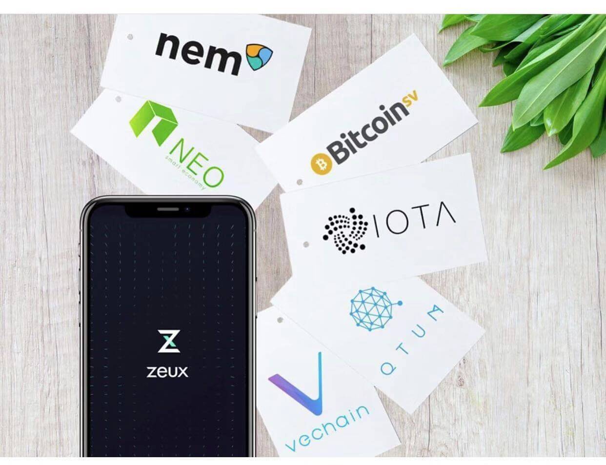 zeux-finance-management-app