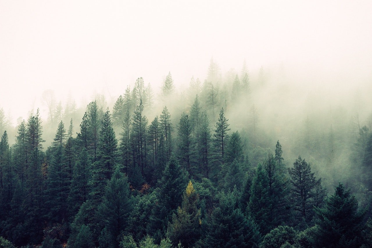 tesla-environmental-concerns