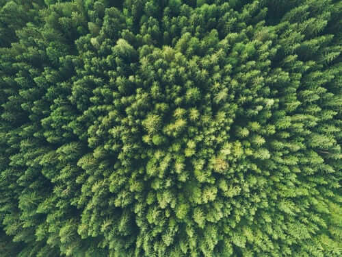 environment-no-pollution