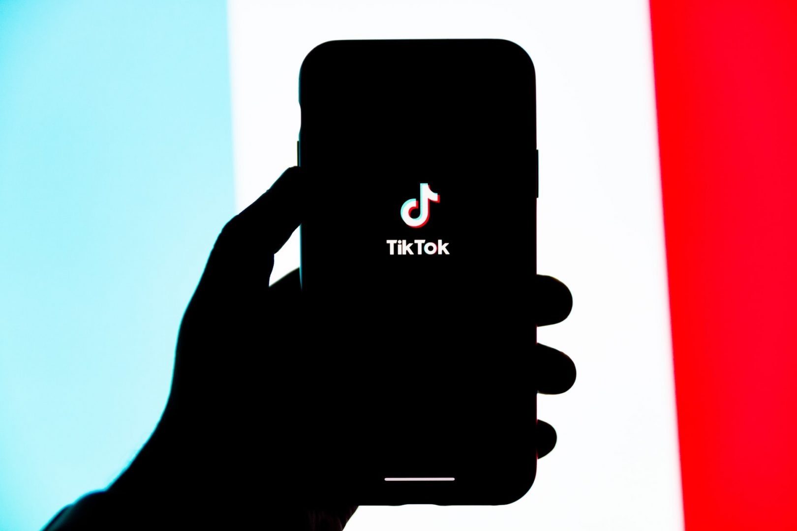 tiktok-politics