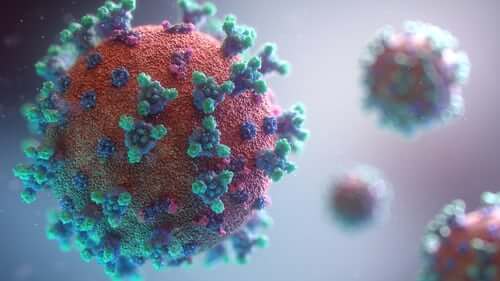 virus-particle