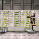 InFarm, agtech, startup, Berlin
