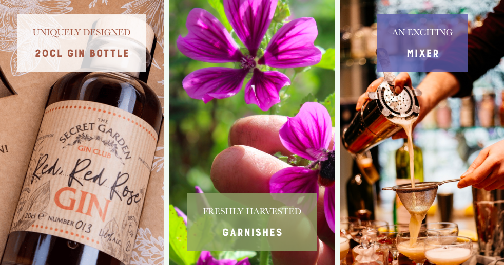 The-Secret-Garden-Gin-Club-subscription-box-products