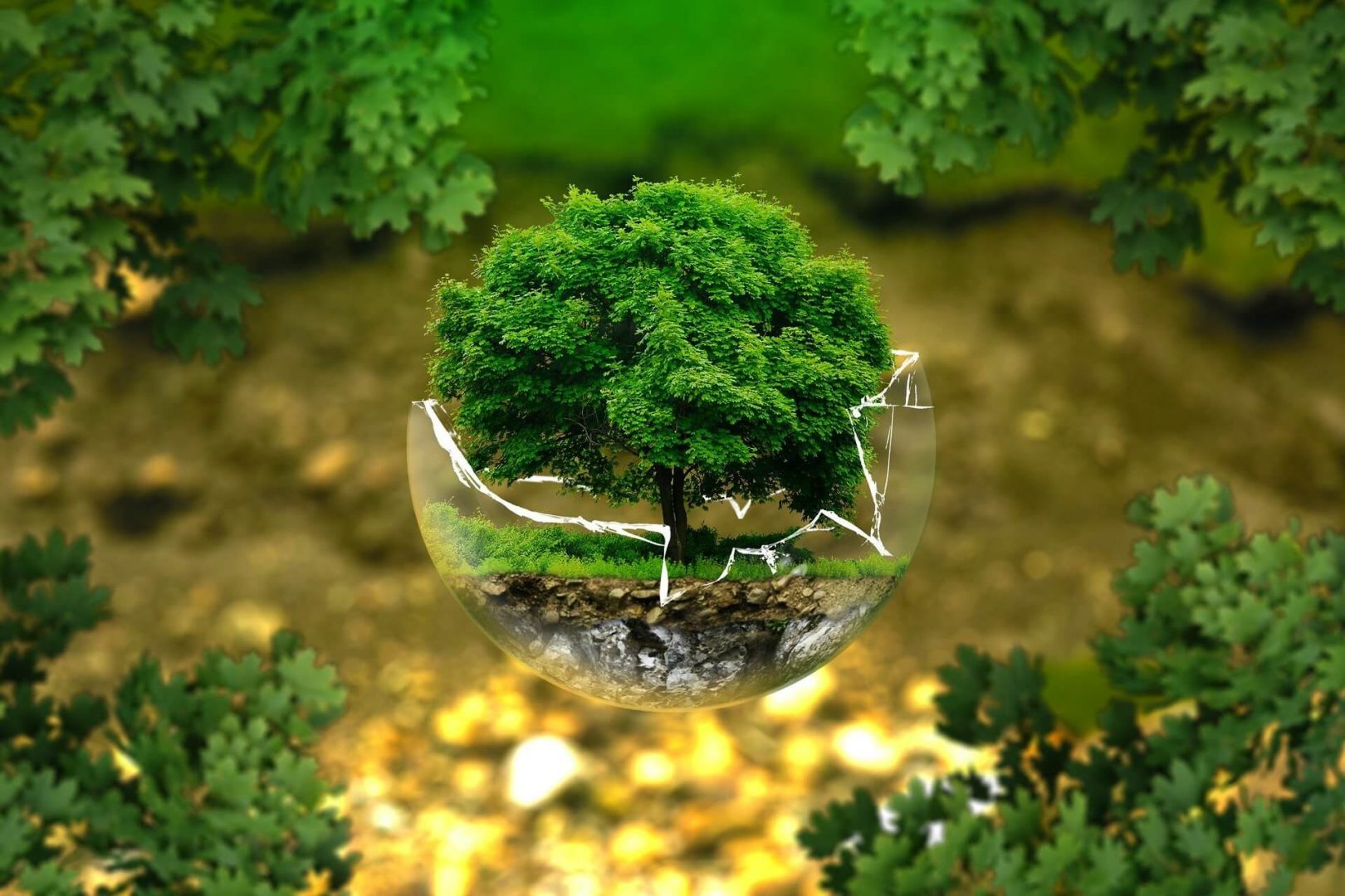 environmental-protection