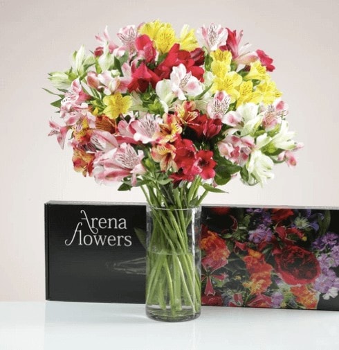 Arena-Flowers