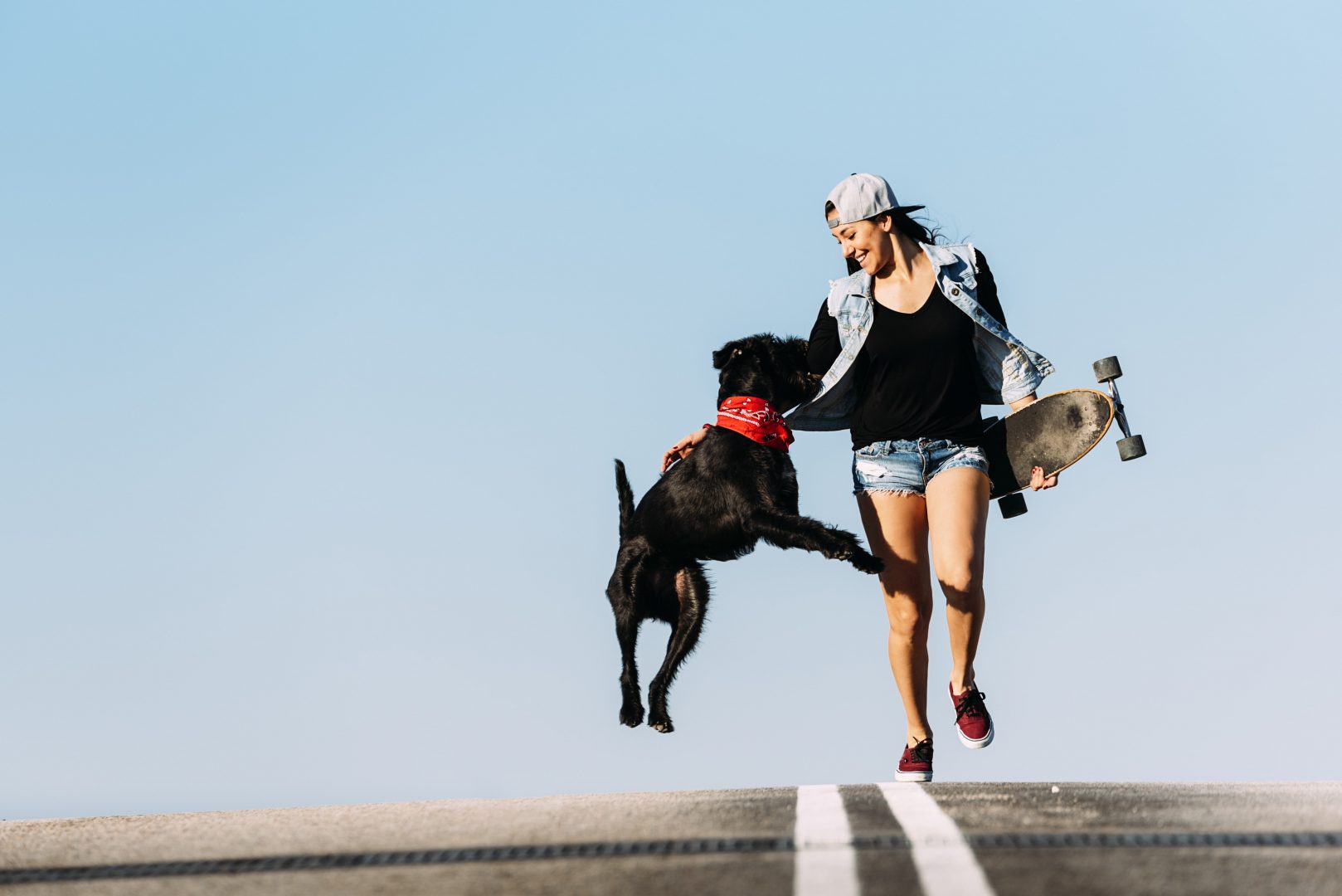 purina-pet-tech