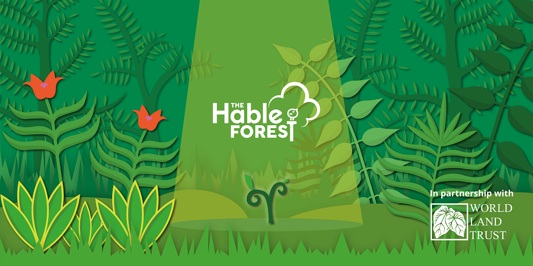 Hable-forest-banner-01