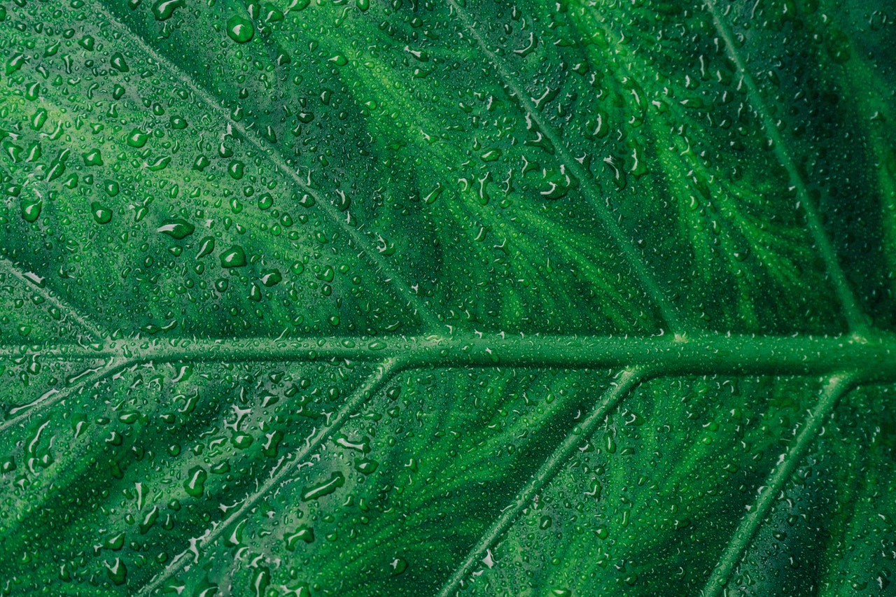 green-pension-investment