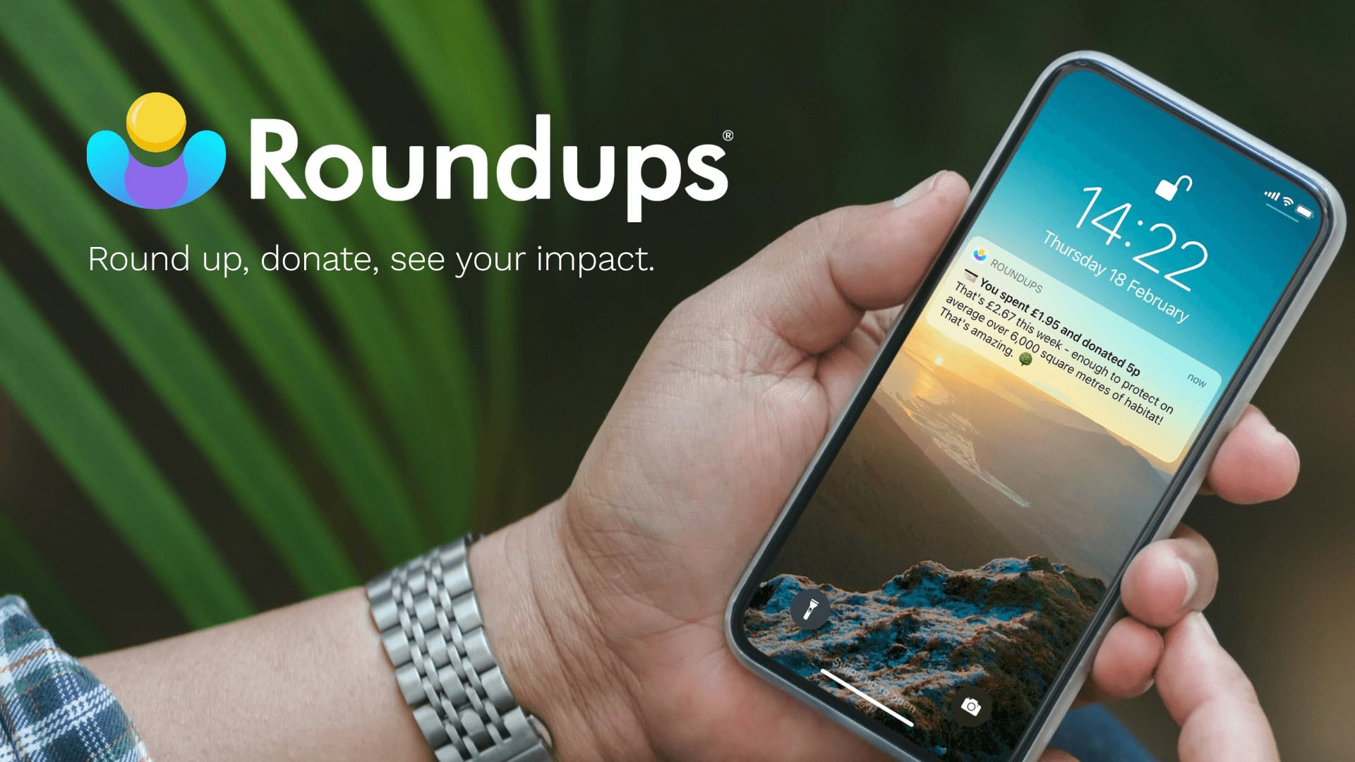 Roundups - Product Image (1)