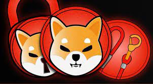 Shiba