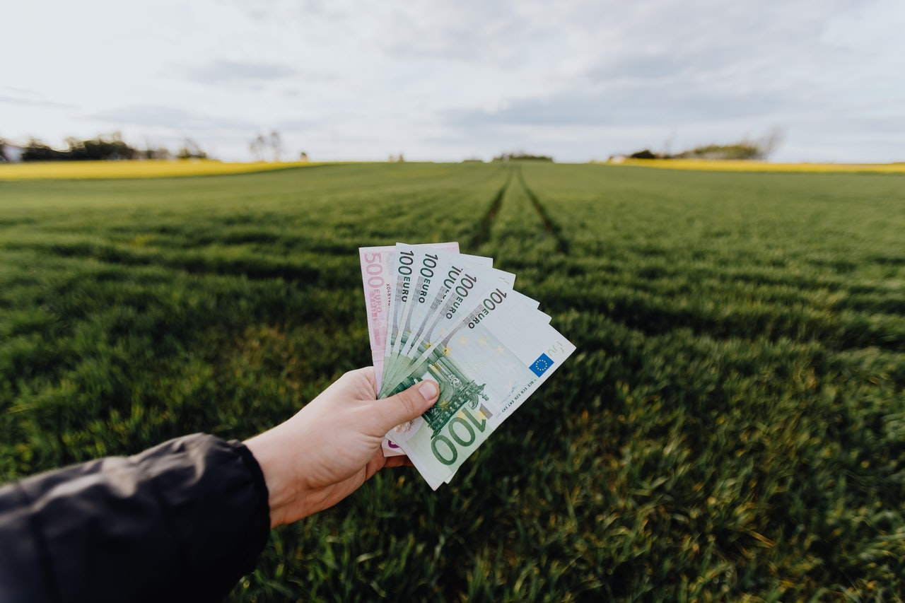 green-investment-wealth