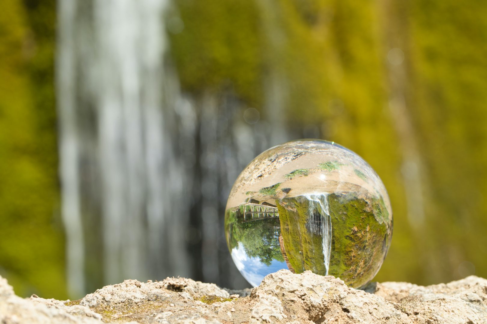 earth-day