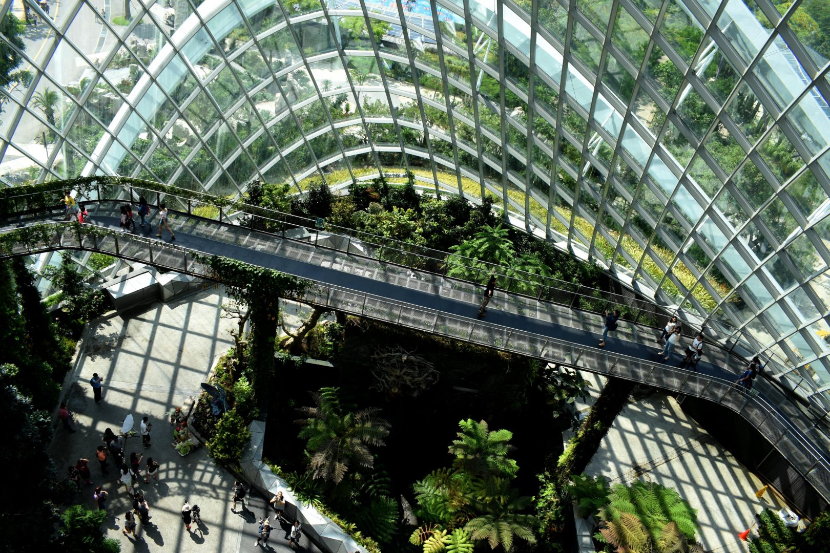 Live Sustainably With Simple Lifestyle Changes