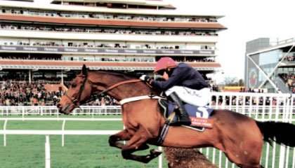 Newbury Racecourse