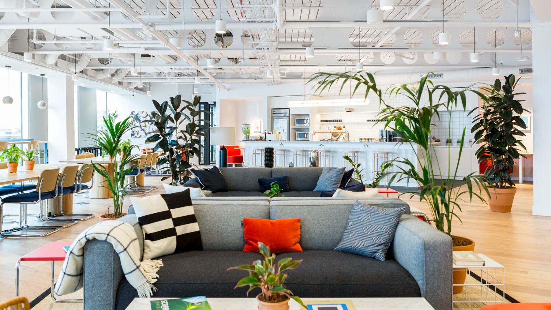 wework-office