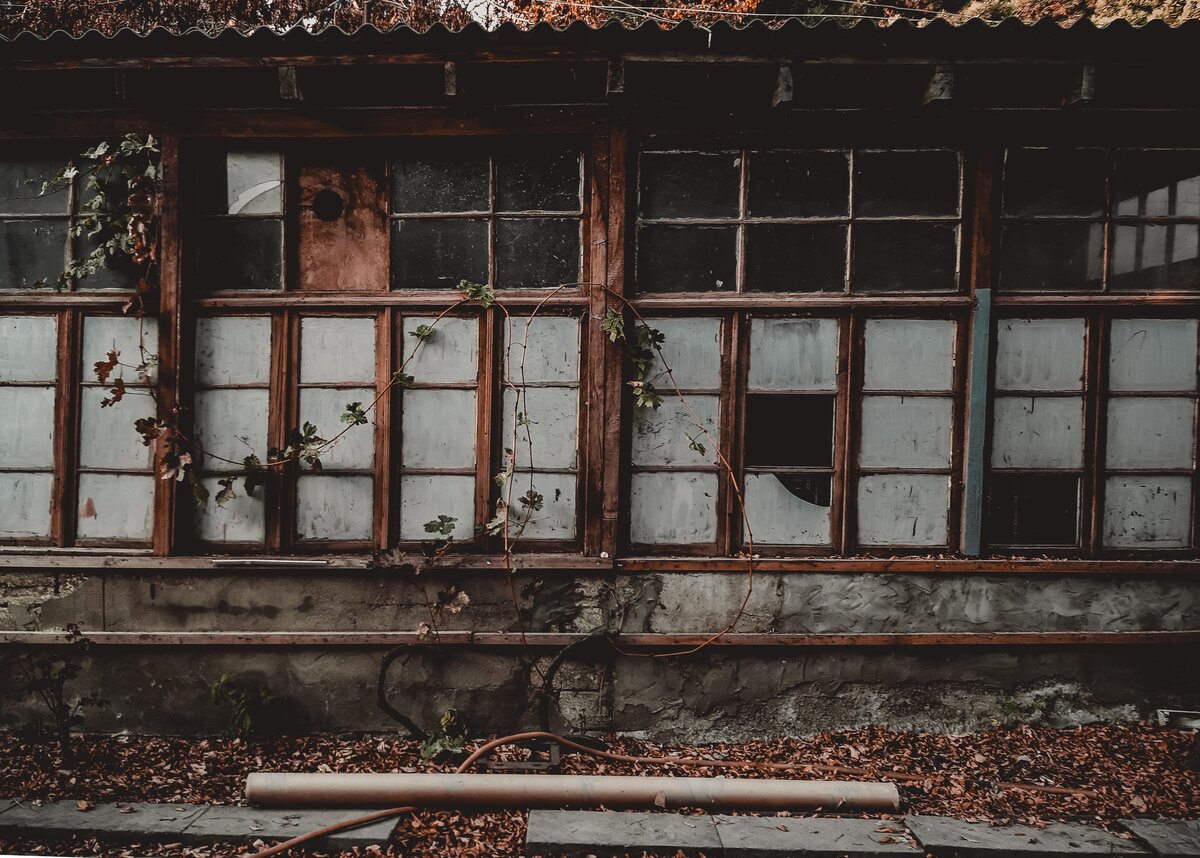 Housing Disrepair Claim