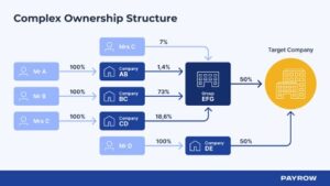 complex-business-ownership-structure