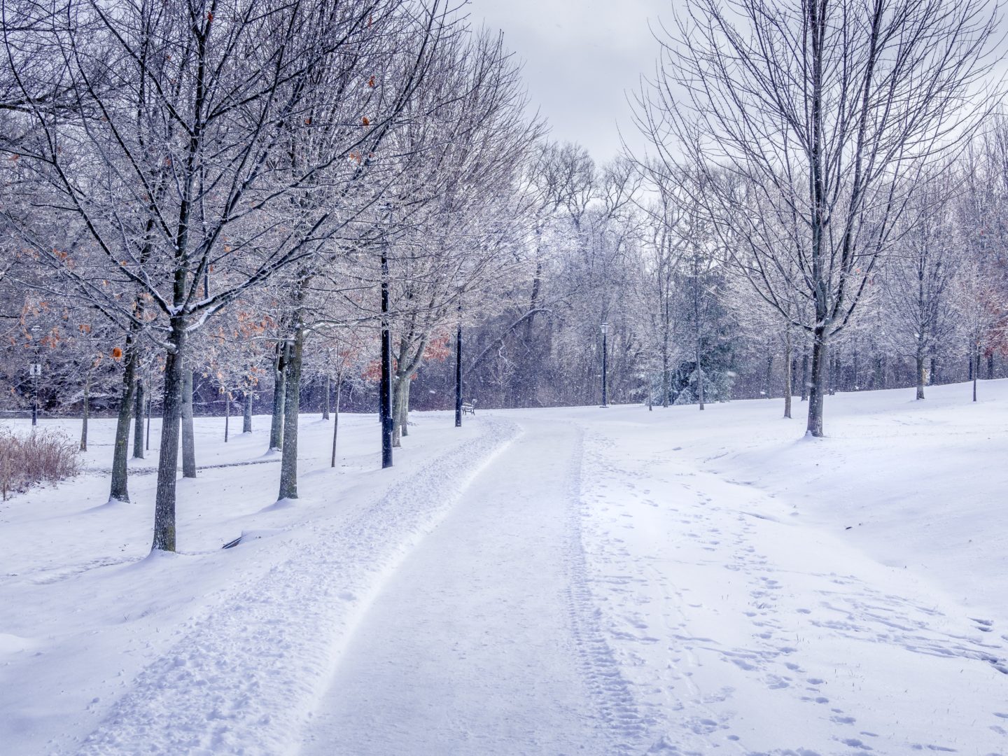 cold weather disruption