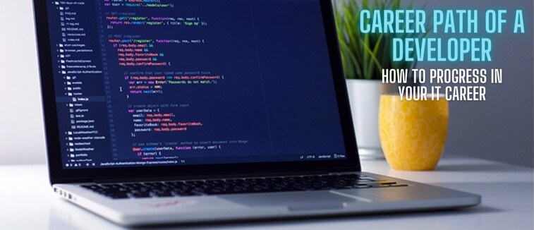 developer-career-path
