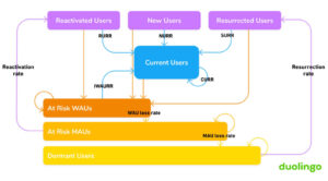 user-flows