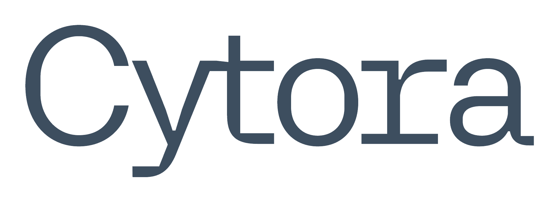 30. Cytora - TechRound