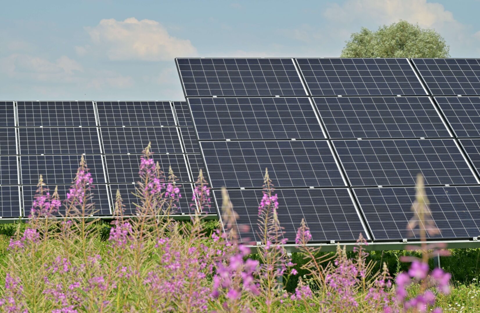 solar-panel