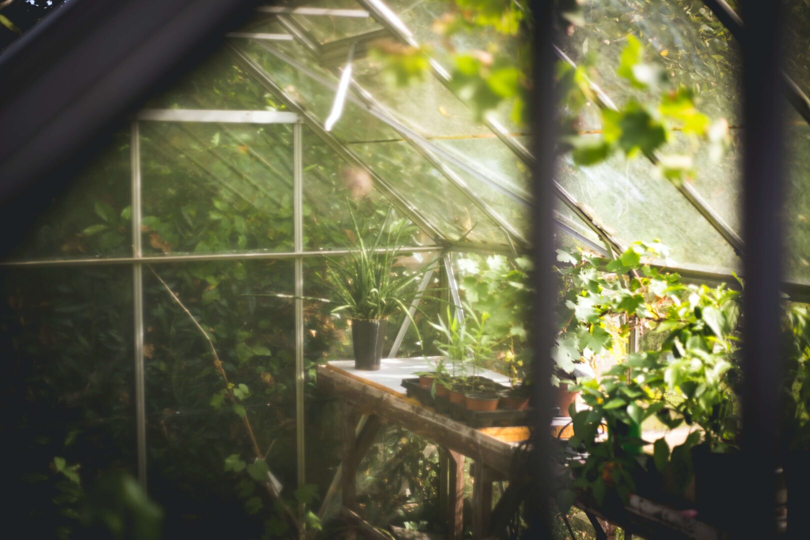 green-house-sustainable-living