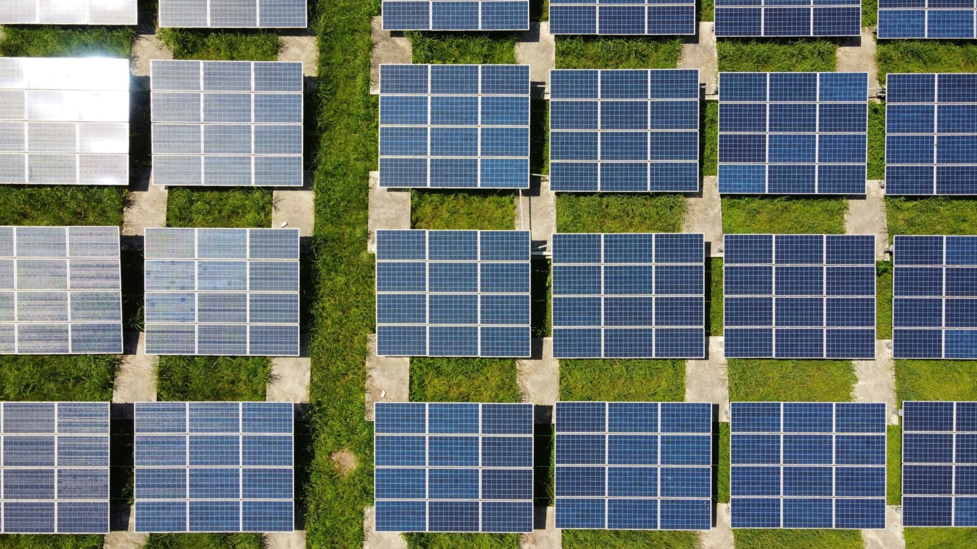 solar panels in field