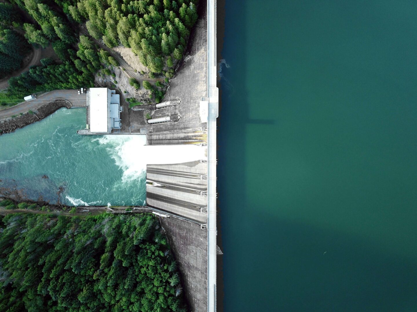 Hydroplant