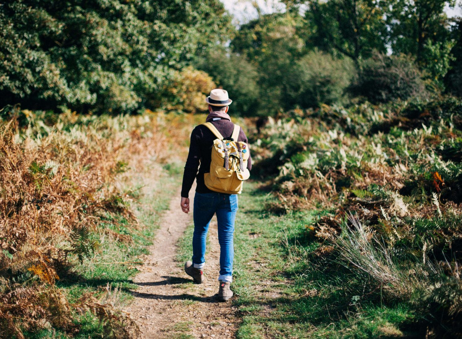 national-walking-day