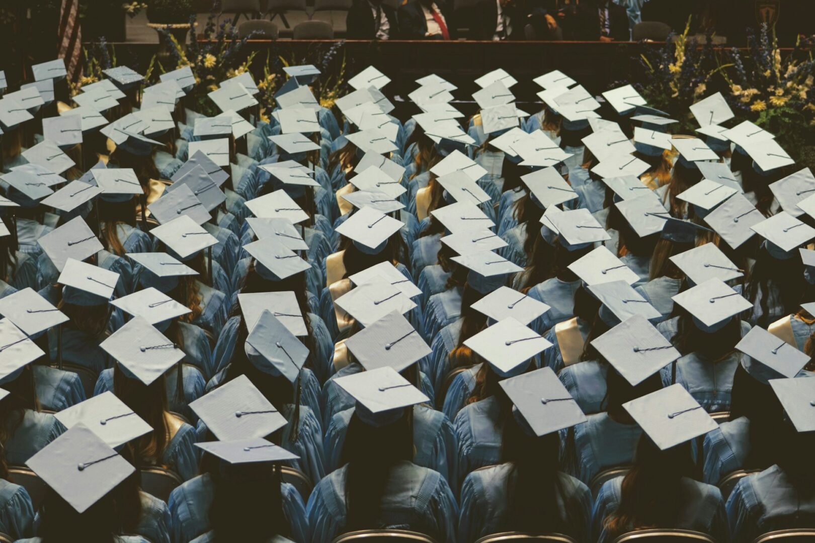 university