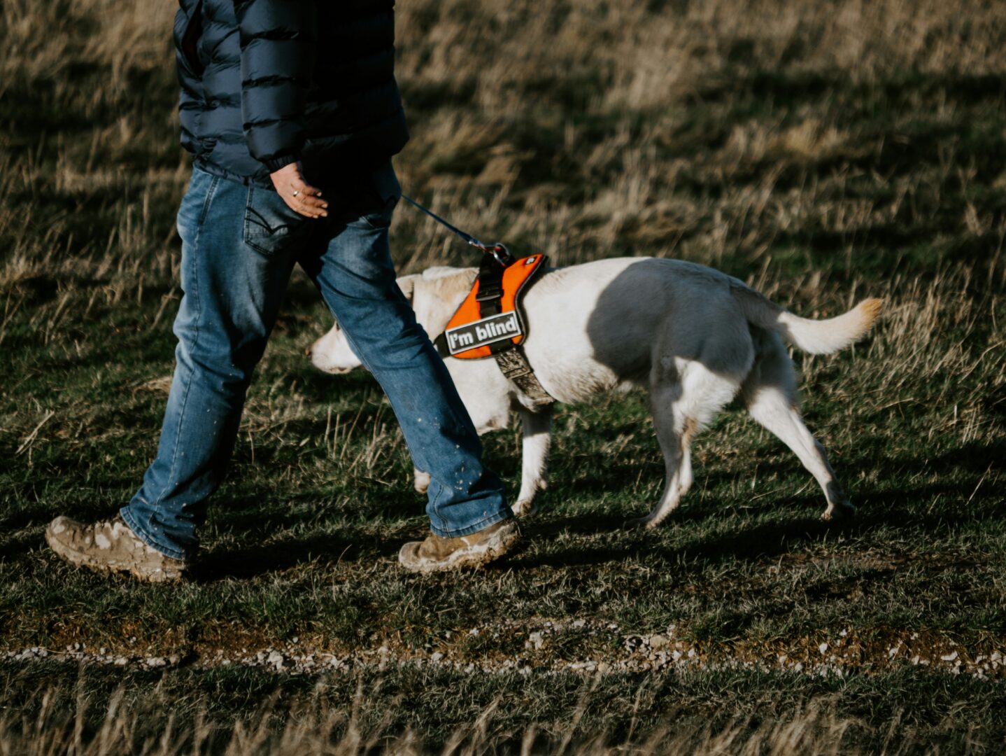 visually impaired aid