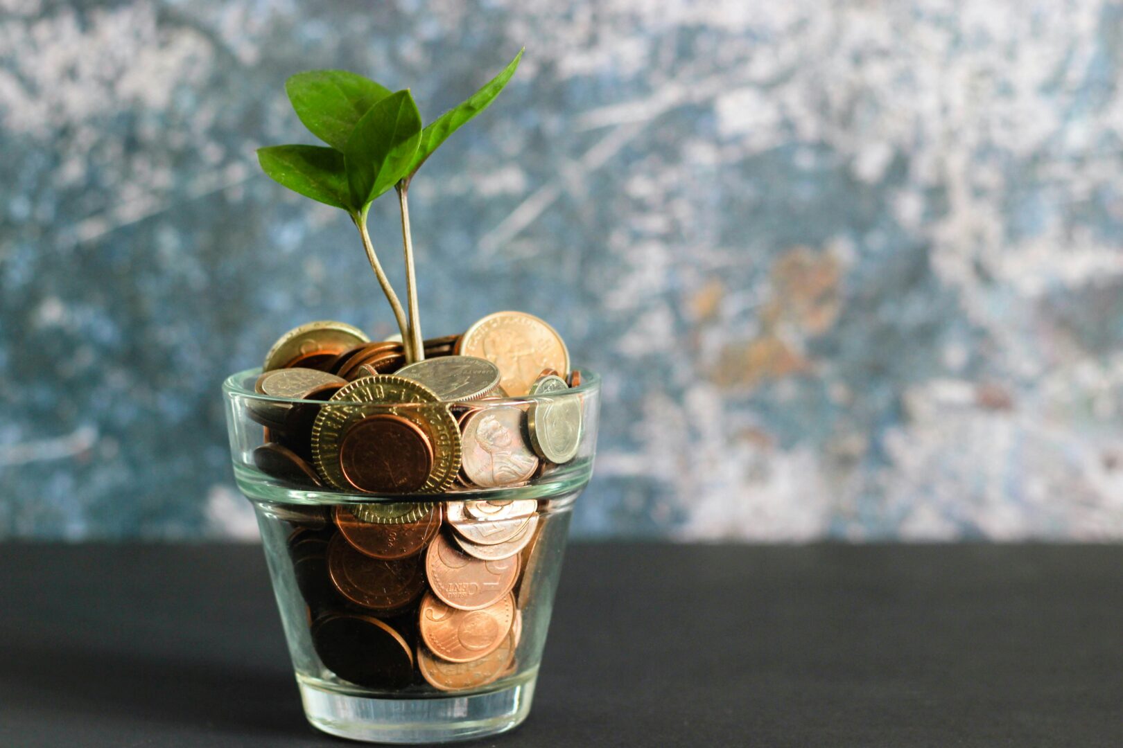 seed funds