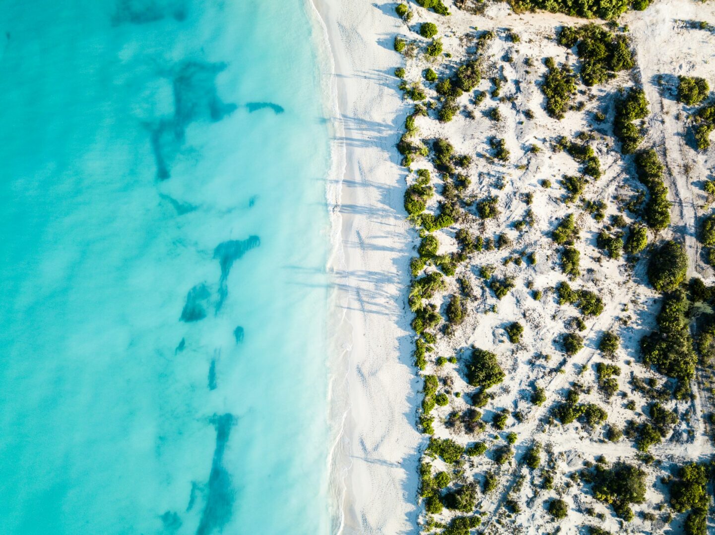 caribbean