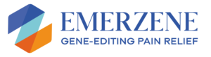Emerzene Inc
