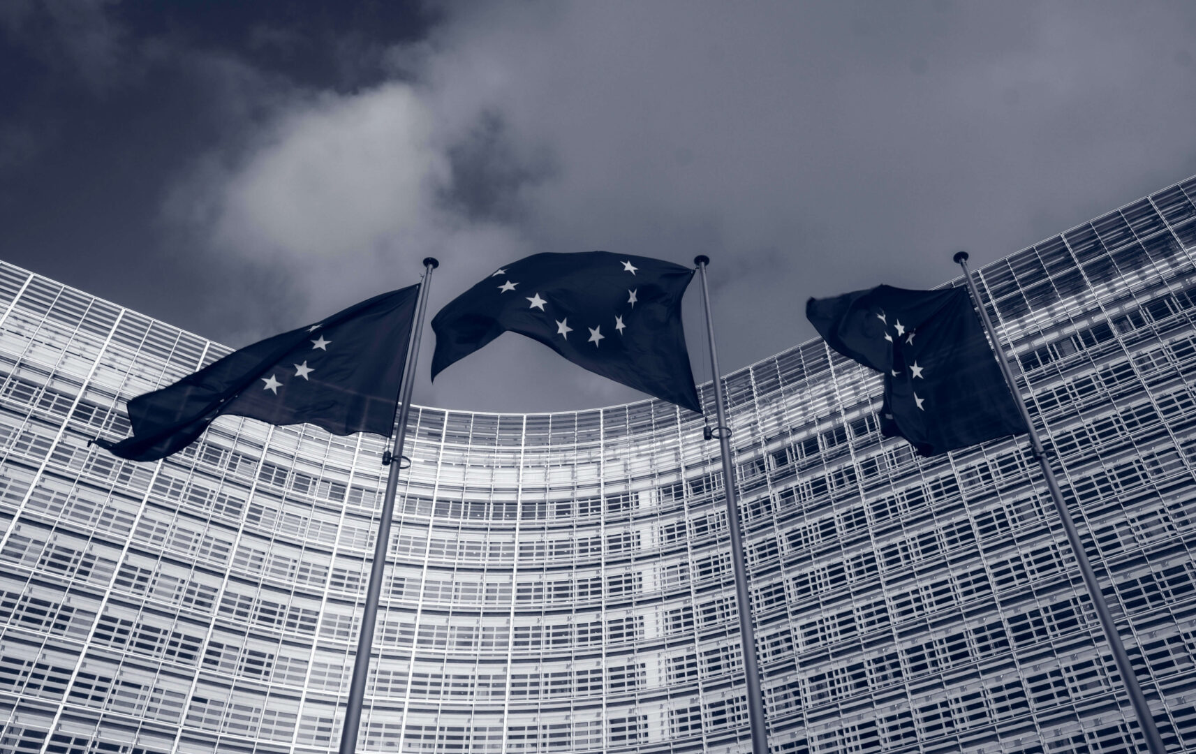 european-union-flags