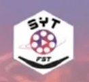 SearchYourTeam company logo