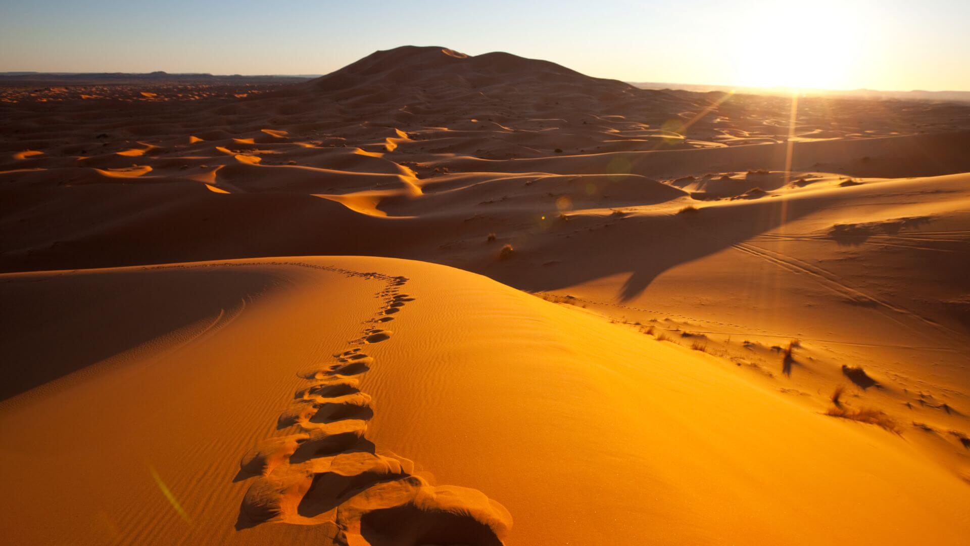 Sand Dunes In The Desert