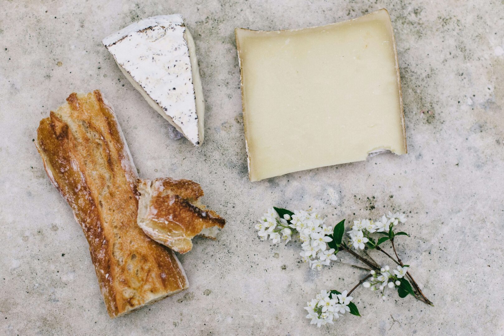 cheese-startups