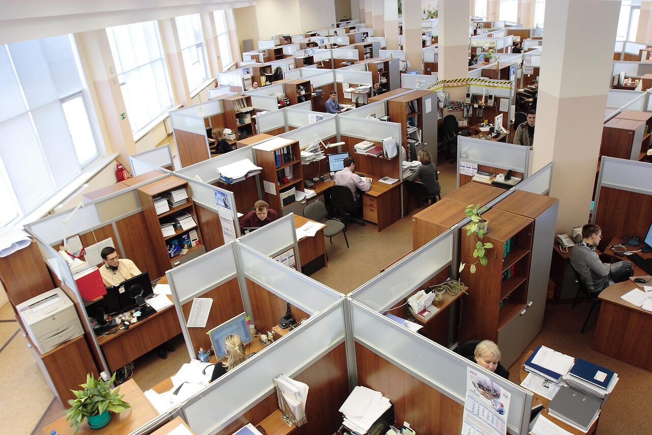 photograph-of-employees-in-an-office