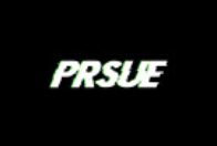 prsue-company-logo