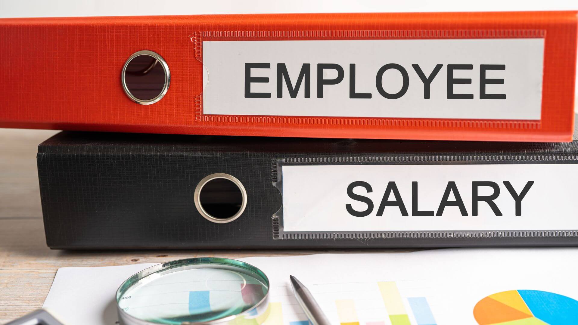 Employee Salary Files