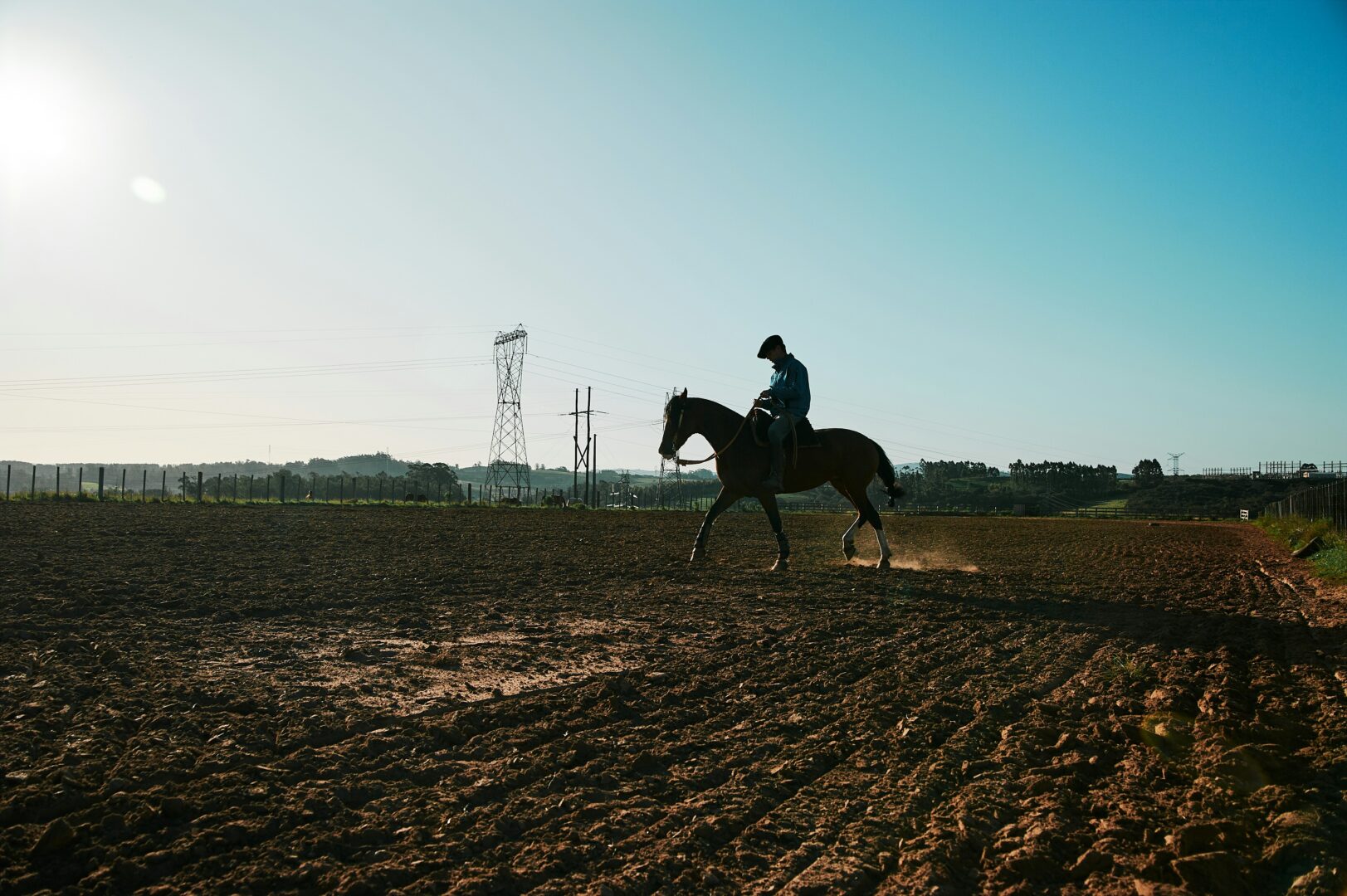 Photo of someone riding a horse in a field